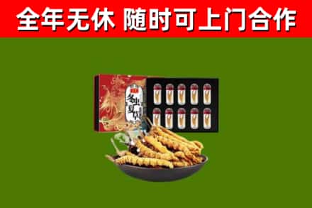 神农架市烟酒回收冬虫夏草礼盒.jpg